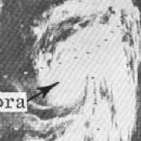 1966 Pacific typhoon season