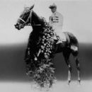 1918 racehorse births
