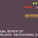 Pathology journals