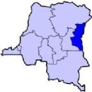 Force Intervention Brigade