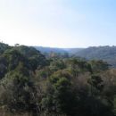 Hornsby Heights, New South Wales