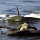 Jaws 2