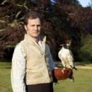 Sense & Sensibility - David Morrissey - 333 x 500
