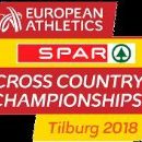 2018 in Dutch sport