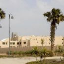 British International School in Cairo