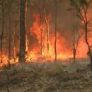 2011 disasters in Oceania