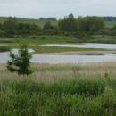 Stiffkey