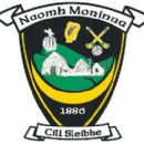 1888 in Gaelic games