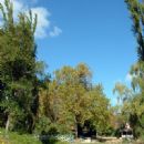 Wagga Wagga