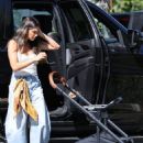 Nikki Reed – And Ian Somerhalder were spotted grocery shopping in Calabasas - 454 x 681