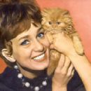 Eurovision Song Contest entrants of 1960