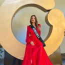 Daniela Velasco- Miss Earth 2021- Preliminary Events - 454 x 568