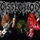 Dissection