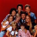 The Brady Bunch - 454 x 578