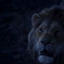 The Lion King (2019) - 454 x 237