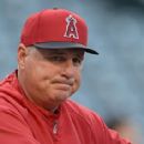 Mike Scioscia