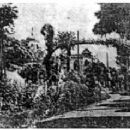 1856 in the Ottoman Empire