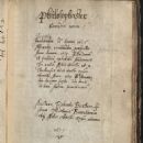 Philosophaster