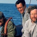Jaws 1975 Motion Picture - 454 x 255