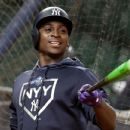 Didi Gregorius