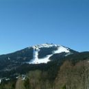 Bohemian Forest