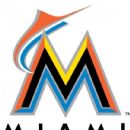 1993 in baseball