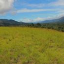 Southwest Papua
