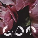 GDM - Globe
