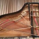 1965 musical instruments