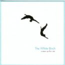 Come Up for Air - The White Birch