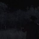 Fear the Walking Dead (2015) - 454 x 255