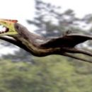 Mesozoic China