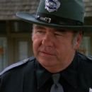 Hoyt Axton- as Sheriff Tate