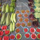 Health food store