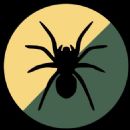 Military intelligence brigades