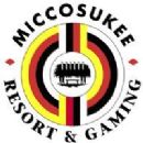 Hotels established in 1999