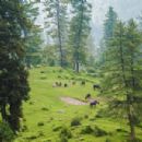 Mountains of Azad Kashmir
