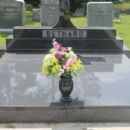 Henry Bethard