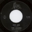 Hey Joe