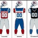 2013 in Canadian sports by province or territory