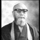 Japanese jujutsuka