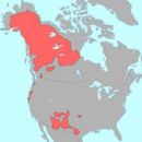 Na-Dene languages