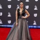 Aleyda Ortiz-  20th Annual Latin GRAMMY Awards - Arrivals - 434 x 600