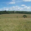 Battle of Stratton
