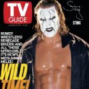 Steve Borden - TV Guide Magazine Cover [United States] (14 August 1999)