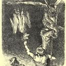 Fantasy books