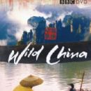 Works about China