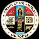 County government in the United States by state