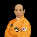 South Korean martial artists