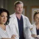 Grey's Anatomy (2005) - 454 x 303